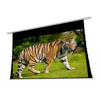 EluneVision 135" (66x118) 16:9 Reference Studio Tab-Tensioned In-Ceiling Screen 4K+ 1.0 Gain Projector Screen - EV-TIC-135-1.0