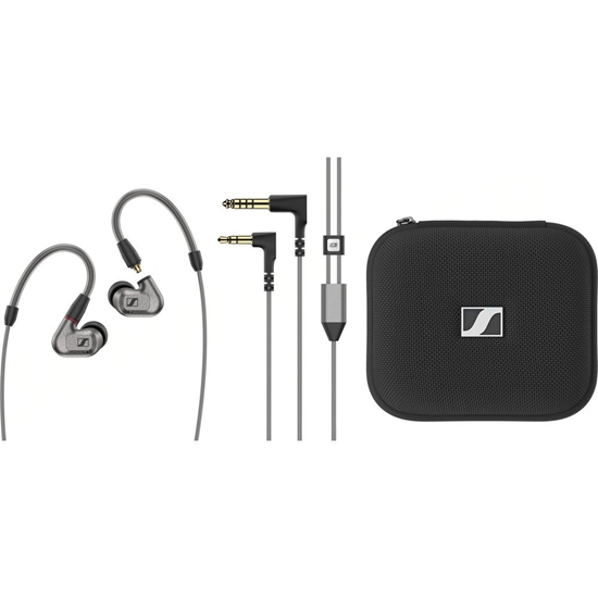 Sennheiser IE 600 in-Ear Audiophile Headphones - SEN-IE600