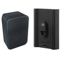 Bluesound PULSE FLEX 2i Wireless Speaker and Battery Pack Bundle (Matte Black / Black)