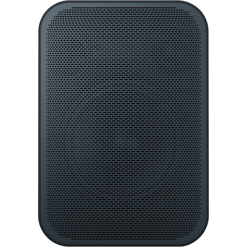 Bluesound PULSE FLEX 2i Wireless Speaker (Matte Black) - Bluesound-PULSE-FLEX-2I-BLK