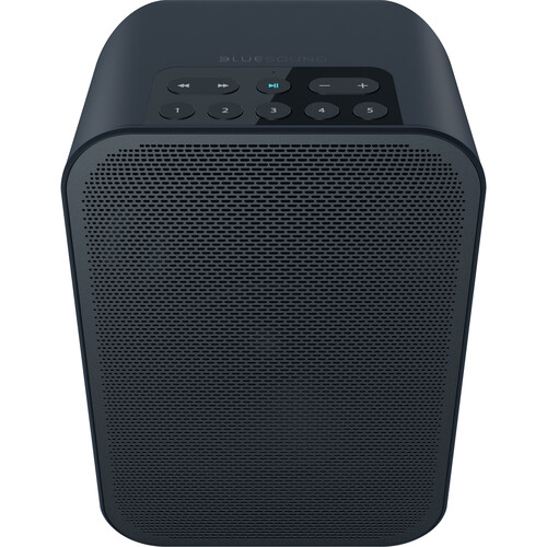 Bluesound PULSE FLEX 2i Wireless Speaker (Matte Black) - Bluesound-PULSE-FLEX-2I-BLK