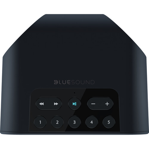 Bluesound PULSE FLEX 2i Wireless Speaker (Matte Black) - Bluesound-PULSE-FLEX-2I-BLK