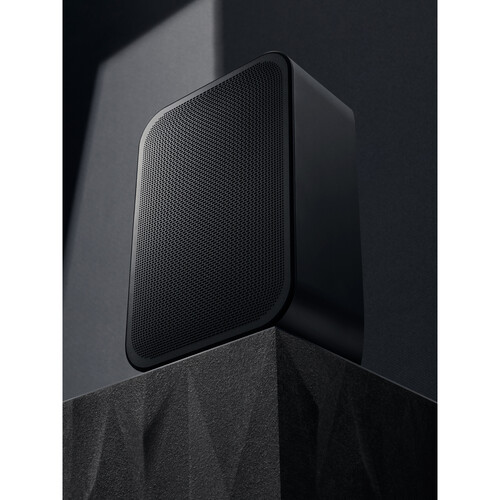 Bluesound PULSE FLEX 2i Wireless Speaker (Matte Black) - Bluesound-PULSE-FLEX-2I-BLK