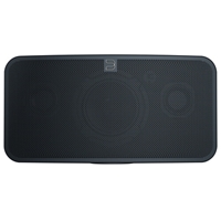 Bluesound PULSE MINI 2i Wireless Speaker (Matte Black)