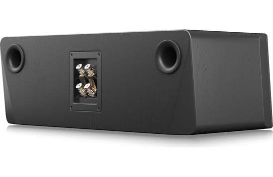 SVS Ultra Evolution Center channel speaker (Black Oak Veneer) - SVS-ULTCENTERBOV