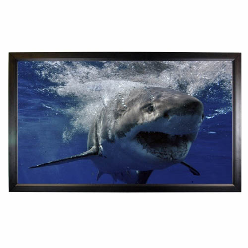 Mustang Sc F106cw169 Fixed Frame Screen 106 Diag 52x92 Hdtv 16 9 High Contrast White 1 0 Gain Mustang Mustang Sc F106cw169